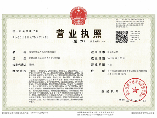 子公司营业执照
