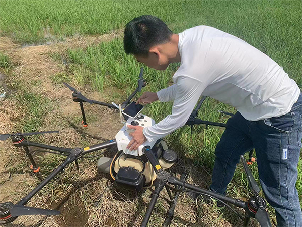 农林植保培训